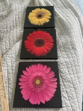 Set of 3 Floral Art Prints - Pink, Red & Yellow Gerbera on Black -